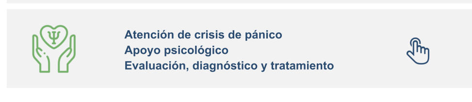 Atención de crisis de pánico Apoyo psicológico Evaluación, diagnóstico y tratamiento