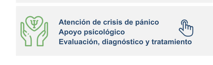 Atención de crisis de pánico Apoyo psicológico Evaluación, diagnóstico y tratamiento